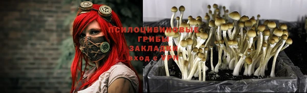 метадон Алексин