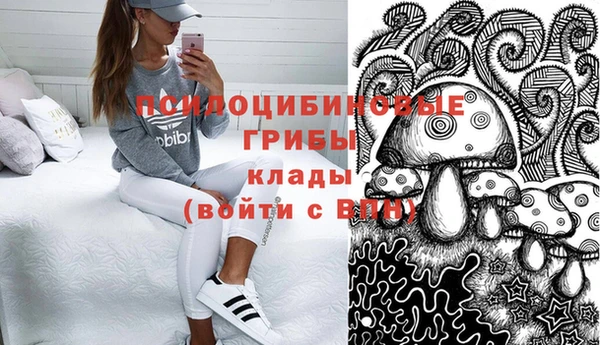 метадон Алексин