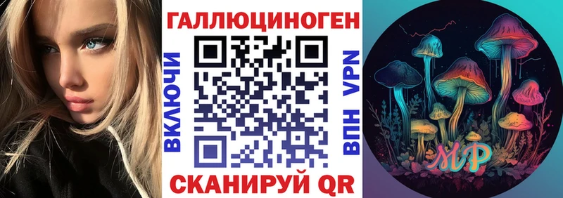 как найти наркотики  Биробиджан  Псилоцибиновые грибы Psilocybe 